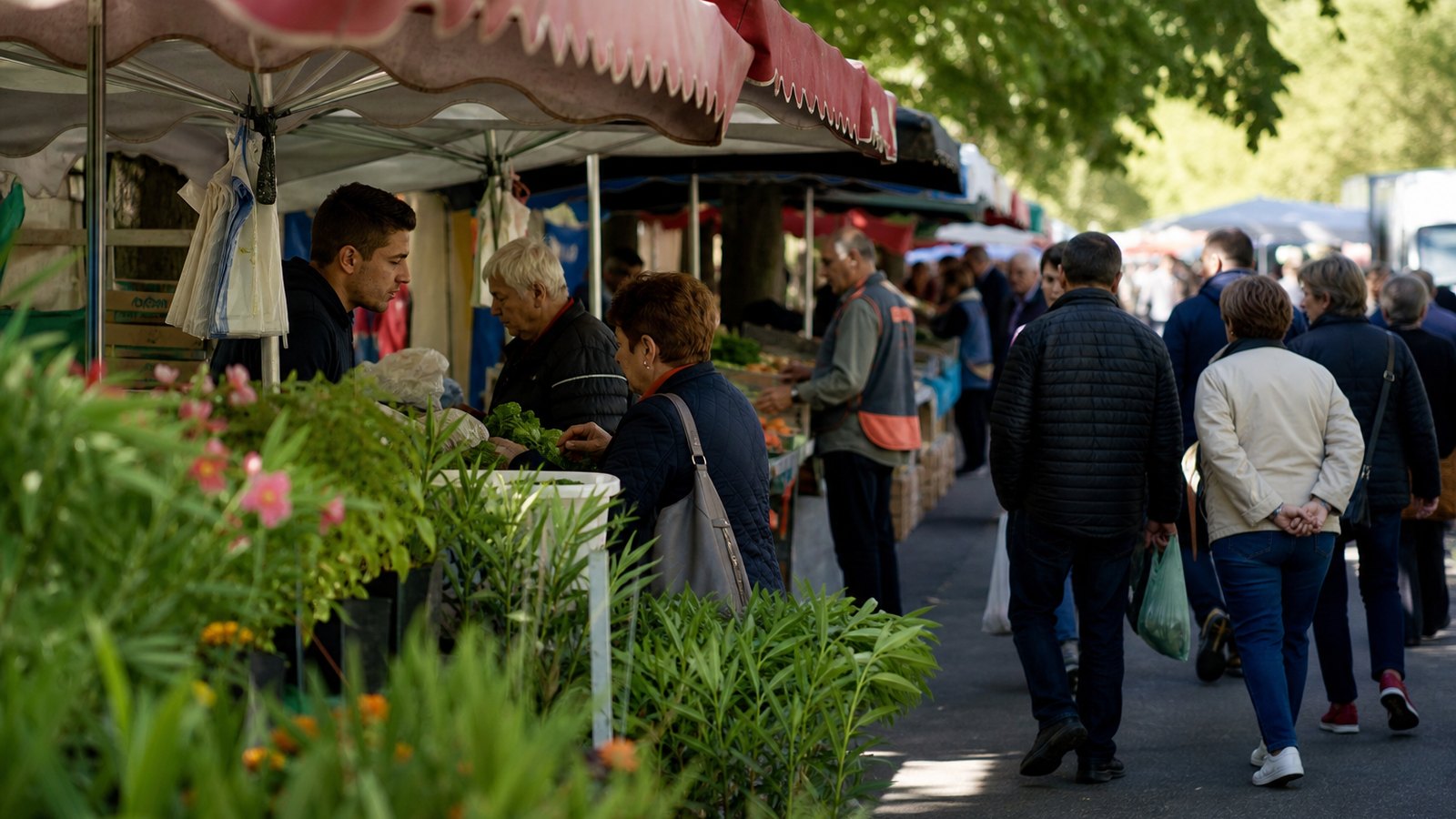 Rangée d'emplacements attribués sur un marché forain